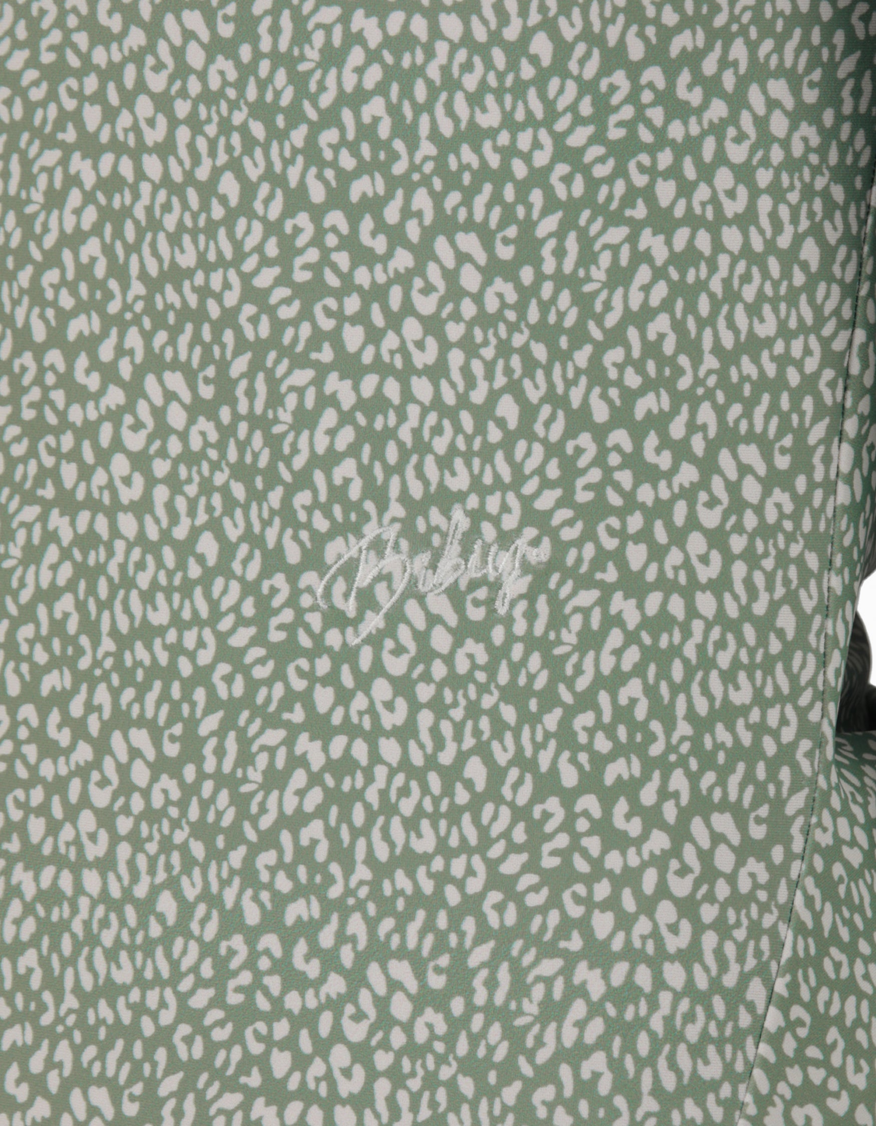 ISABELLA SHIRRING DRESS